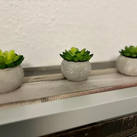 Auszeit Am Rhein 1 - Rhinelove