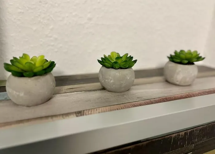 Auszeit Am Rhein 1 - Rhinelove